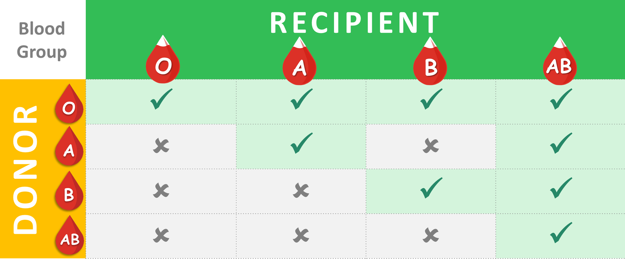 Self-evaluation Table
Donor with blood group O is compatible with recipient with blood group O, A, B and AB
Donor with blood group A is compatible with recipient with blood group A and AB
Donor with blood group B is compatible with recipient with blood group B and AB
Donor with blood group AB is compatible with recipient with blood group AB